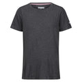 Seal Grey - Front - Regatta Womens-Ladies Ballyton T-Shirt