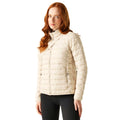 Perfectly Pale - Lifestyle - Regatta Womens-Ladies Hillpack II Insulated Padded Jacket