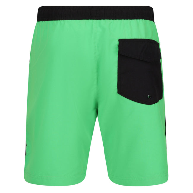Fairway Green-Black - Back - Regatta Mens Bentham Swim Shorts