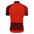 Cinnamon-Syrah Red - Back - Dare 2B Mens Protraction III Cycling Jersey