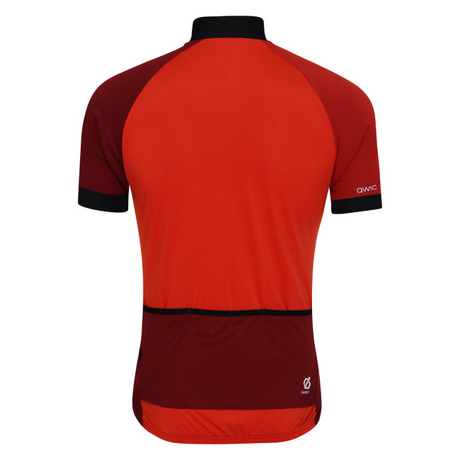 Cinnamon-Syrah Red - Back - Dare 2B Mens Protraction III Cycling Jersey