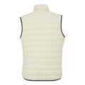 Light Vanilla-Seal Grey - Back - Regatta Womens-Ladies Hillpack II Gilet