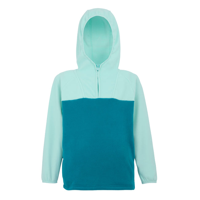 Aruba Blue-Exotic Plume-Icy Morn - Front - Regatta Childrens-Kids Fayley Fleece Hoodie