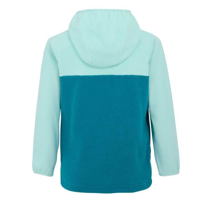 Aruba Blue-Exotic Plume-Icy Morn - Back - Regatta Childrens-Kids Fayley Fleece Hoodie
