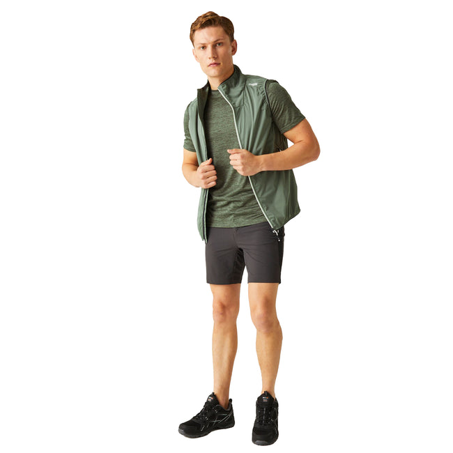 Agave Green-Citron Lime - Lifestyle - Regatta Mens Lankin VI Softshell Gilet