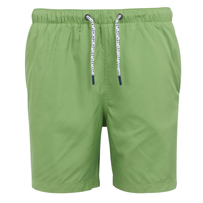 Piquant Green - Front - Regatta Mens Mackleyna Swim Shorts