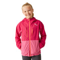 Pink Potion-Flamingo Pink - Lifestyle - Regatta Childrens-Kids Highton V Full Zip Hoodie