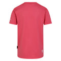 Neon Pink - Back - Regatta Childrens-Kids Amuse II Bike T-Shirt
