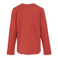 Red Ochre - Back - Regatta Childrens-Kids Wenbie III Photo Split Long-Sleeved T-Shirt