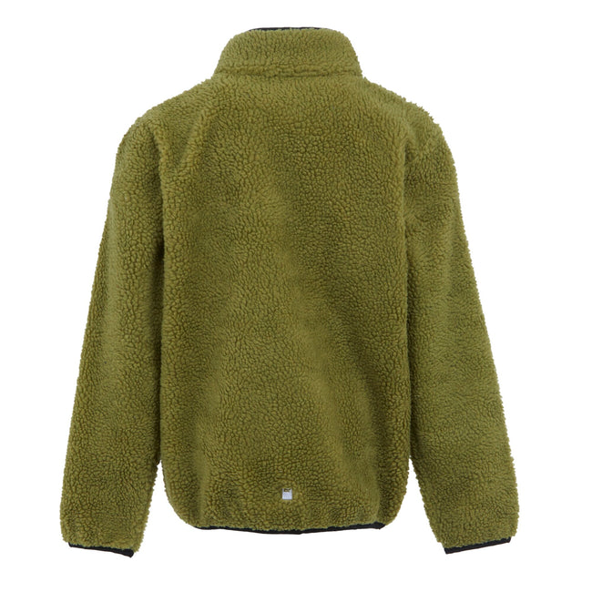 Nephrite Green - Back - Regatta Childrens-Kids Frankie Full Zip Fleece Jacket