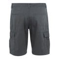 Seal Grey - Back - Regatta Mens Ruwan Casual Shorts