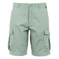 Glacier - Front - Regatta Mens Ruwan Casual Shorts