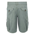 Storm Grey - Back - Regatta Mens Ruwan Casual Shorts