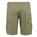 Fauna - Back - Regatta Mens Ruwan Casual Shorts