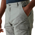 Storm Grey - Lifestyle - Regatta Mens Ruwan Casual Shorts