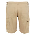 Oat - Back - Regatta Mens Ruwan Casual Shorts