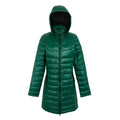 Rainforest - Front - Regatta Womens-Ladies Andel IV Quilted Baffled Jacket