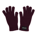 Fig - Front - Regatta Unisex Adult Connora Gloves