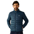 Moonlight Denim - Lifestyle - Regatta Mens Marizion Padded Jacket