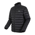 Golden Sand-Black - Side - Regatta Mens Marizion Padded Jacket