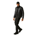 Golden Sand-Black - Lifestyle - Regatta Mens Marizion Padded Jacket