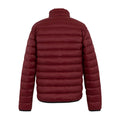 Dark Maroon - Back - Regatta Mens Marizion Padded Jacket