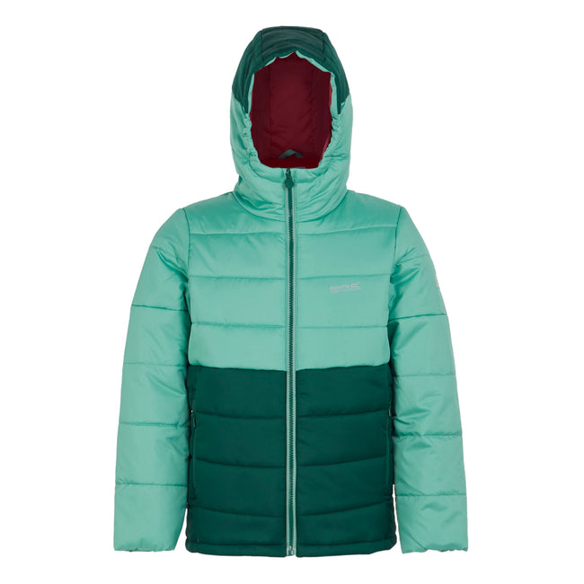 Dusty Green-Rainforest - Front - Regatta Childrens-Kids Lofthouse VIII Insulated Jacket