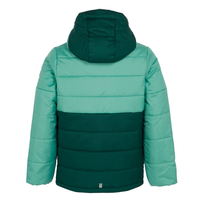 Dusty Green-Rainforest - Back - Regatta Childrens-Kids Lofthouse VIII Insulated Jacket