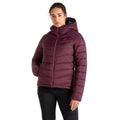 Fig - Lifestyle - Dare 2B Womens-Ladies Torrek Baffled Padded Jacket