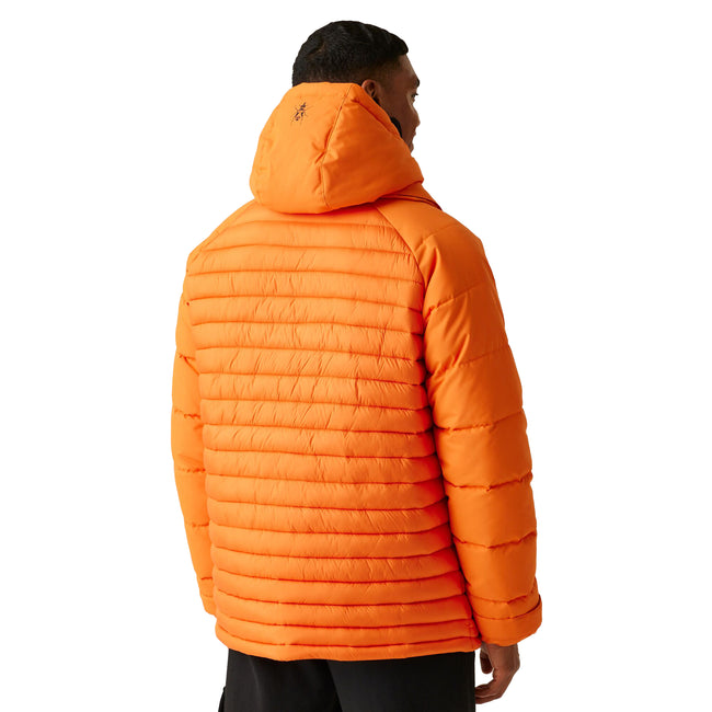 Carrot - Lifestyle - Regatta Mens Christian Lacroix Congenies Short Padded Jacket