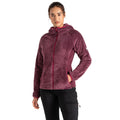 Fig - Lifestyle - Dare 2B Womens-Ladies Torrek Mountain Pro Midlayer