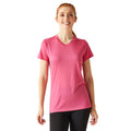 Flamingo Pink - Lifestyle - Regatta Womens-Ladies Fingal Plain V Neck T-Shirt