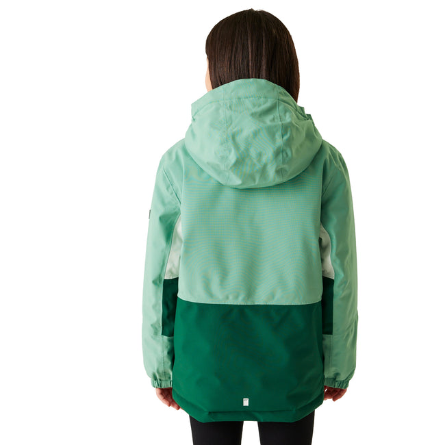 Dusty Green-Rainforest - Lifestyle - Regatta Childrens-Kids Highton V Padded Jacket