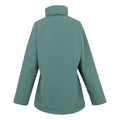 Spruce Green - Back - Regatta Womens-Ladies Daysha II Waterproof Jacket