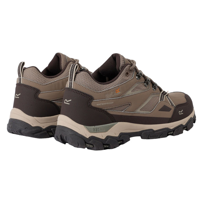 Walnut-White Pepper - Back - Regatta Womens-Ladies Holcombe III Low Walking Shoes