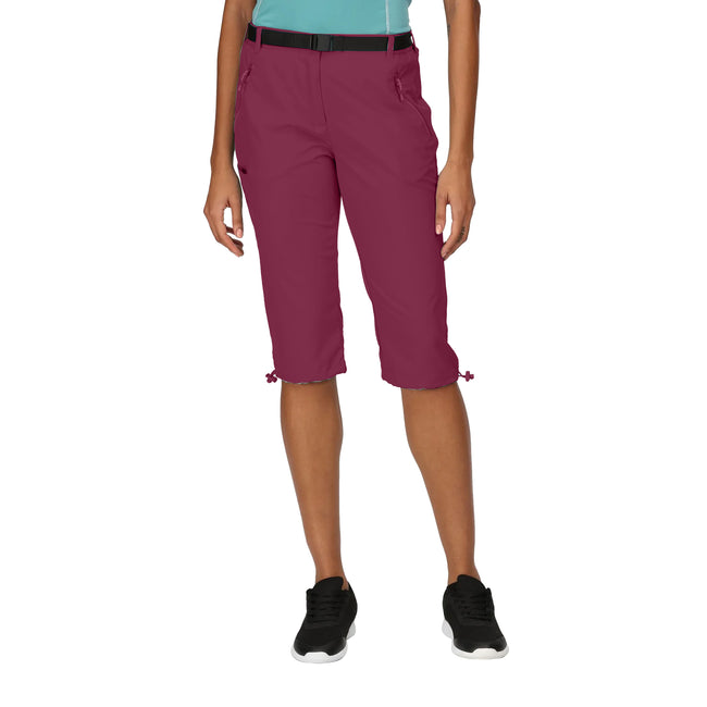 Beaujolais - Lifestyle - Regatta Womens-Ladies Xert Stretch Casual Shorts