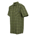 Nephrite Green-Black - Side - Regatta Mens Begarno Checked Short-Sleeved Shirt