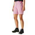 Lilas - Lifestyle - Regatta Womens-Ladies Chaska III Walking Shorts