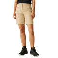 Moccasin - Lifestyle - Regatta Womens-Ladies Chaska III Walking Shorts