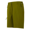 Nephrite Green - Side - Regatta Womens-Ladies Chaska III Walking Shorts