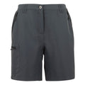 Seal Grey - Front - Regatta Womens-Ladies Chaska III Walking Shorts