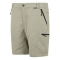 Golden Sand - Side - Regatta Mens Leesville III Shorts