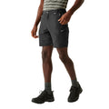 Ash - Lifestyle - Regatta Mens Leesville III Shorts