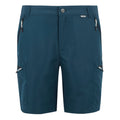 Moonlight Denim - Front - Regatta Mens Leesville III Shorts