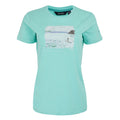 Aruba Blue - Front - Regatta Womens-Ladies Filandra VX Paddle Board T-Shirt