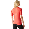 Peach Bloom - Back - Regatta Womens-Ladies Fingal II V Neck T-Shirt