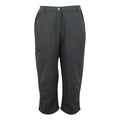 Seal Grey - Front - Regatta Womens-Ladies Chaska III Walking Capri Cropped Trousers