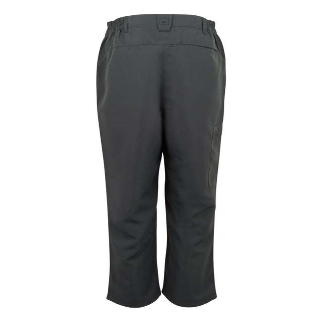 Seal Grey - Back - Regatta Womens-Ladies Chaska III Walking Capri Cropped Trousers