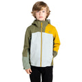 Olivine Green-Hedge Green - Lifestyle - Dare 2B Childrens-Kids Explore II Waterproof Jacket