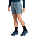 Element Grey - Lifestyle - Dare 2B Womens-Ladies Melodic III Shorts